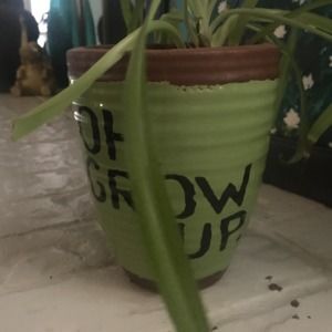 Meet your Posher, Misty